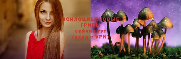 прущая мука Верхний Тагил